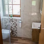 Nedelkova Zidanca Apartment