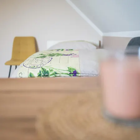 Nedelkova Zidanca Apartma Trnovska Vas