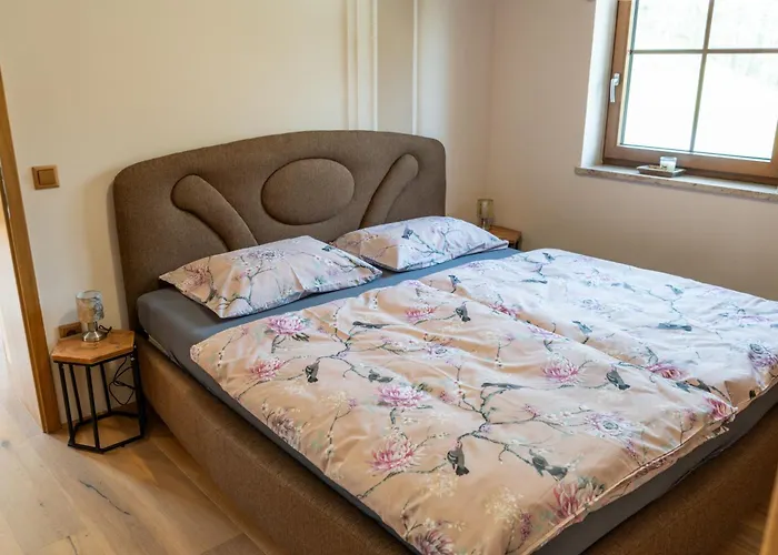 Apartment Nedelkova Zidanca