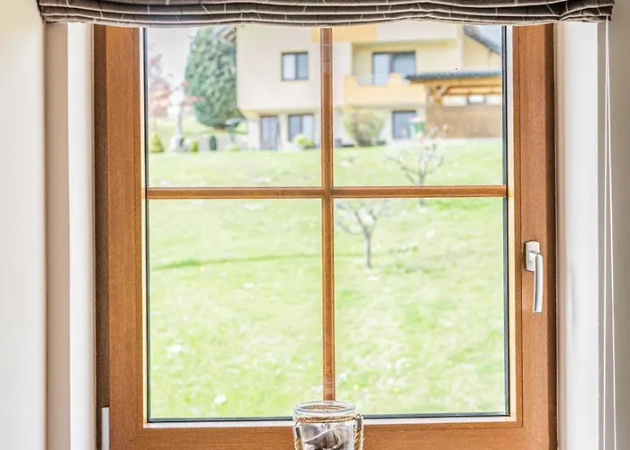 Nedelkova Zidanca Apartment Trnovska Vas